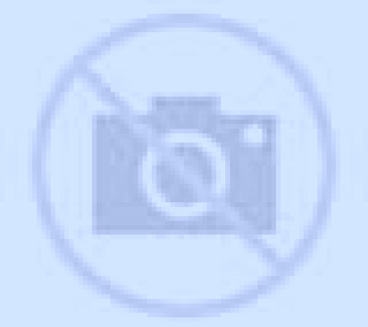 Katia Pereiro de Aguiar escort