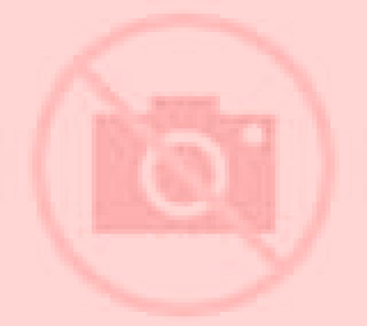 Lola 3 Polanco escort