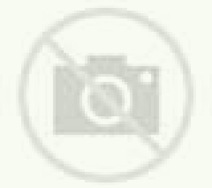 Lola Chilches escort
