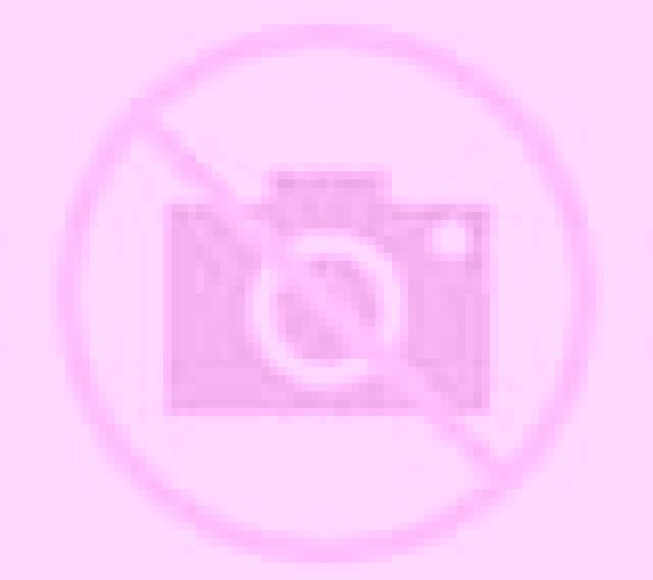 Lola Segurilla escort