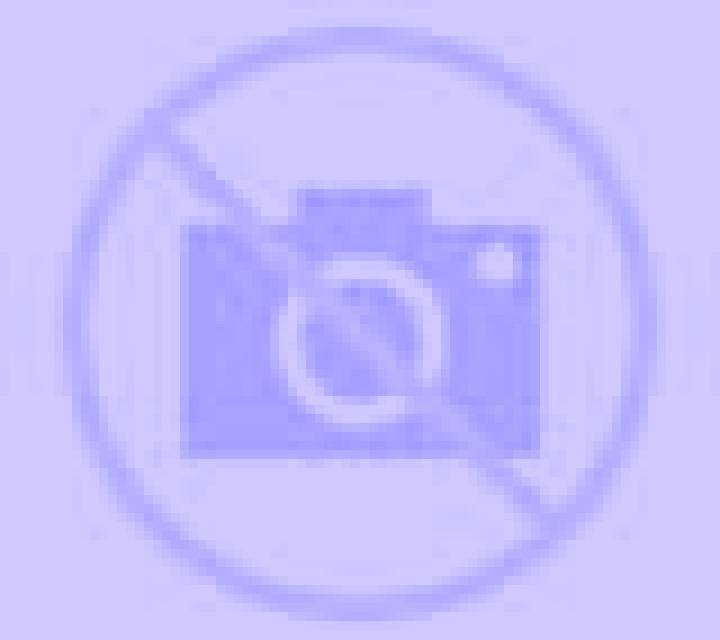 Lorena Bergondo escort