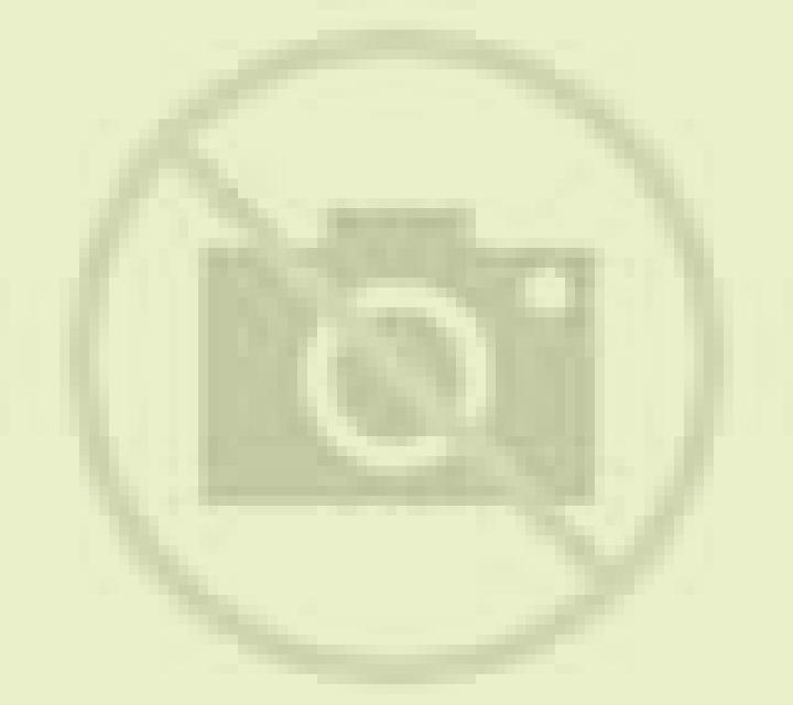Lorena Frechilla escort
