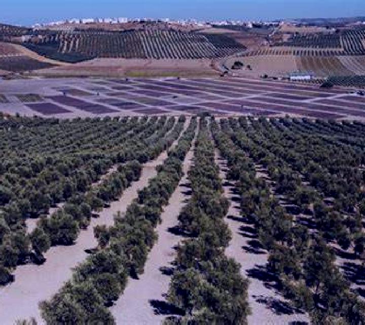 Luna 2 Burgohondo escort