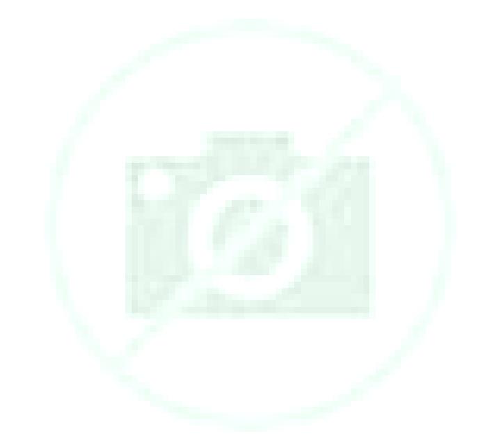 Martina 2 Tordillos escort