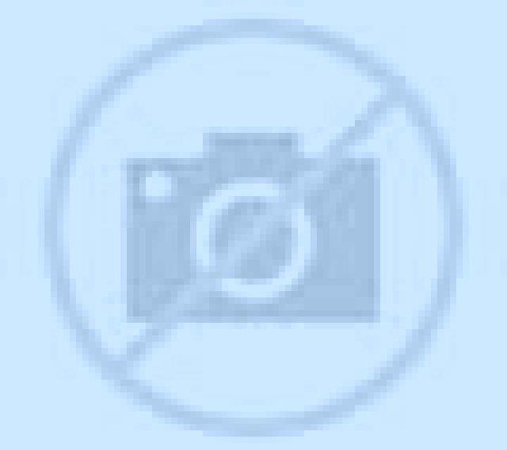 Martina Adzaneta escort