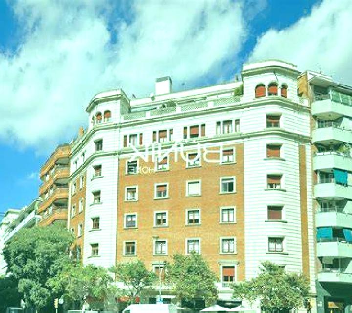 Noa 3 El Robledo escort