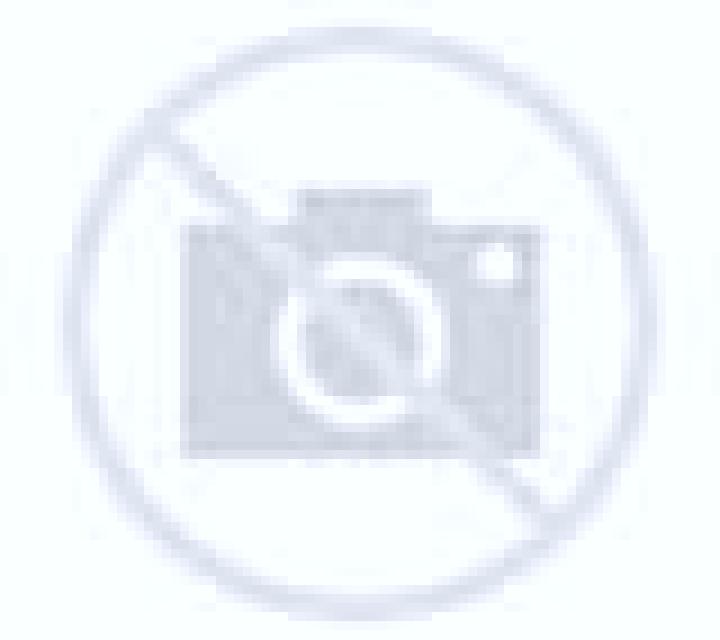 Noa 3 Salomo escort