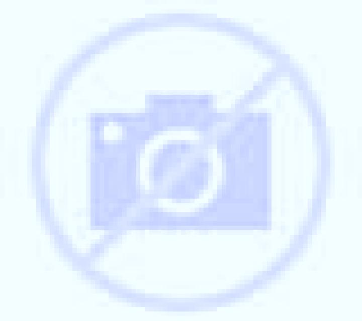 Noa Amorebieta escort
