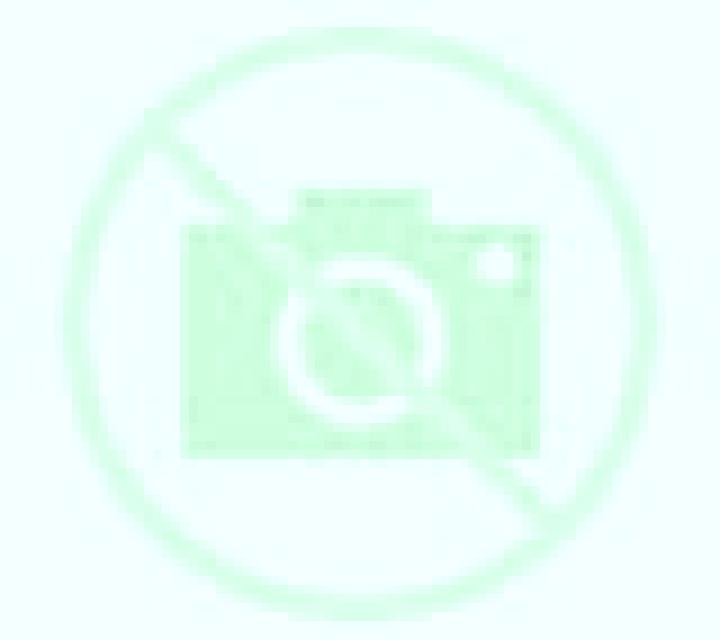 Noa Layos escort