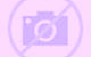 Noa Montalvos escort