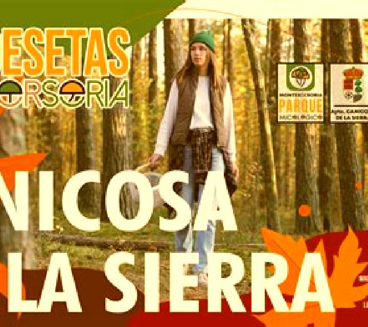 Noelia 3 Arcones escort