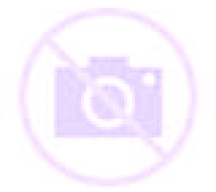 Noelia 3 Arredondo escort