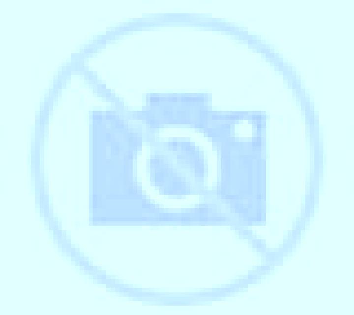Noelia Ipazter escort