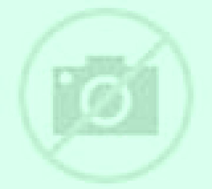 Nora 2 El Bosque escort