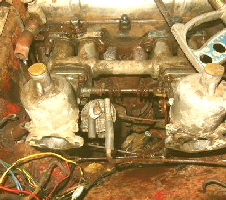 Nora 3 Bielsa escort