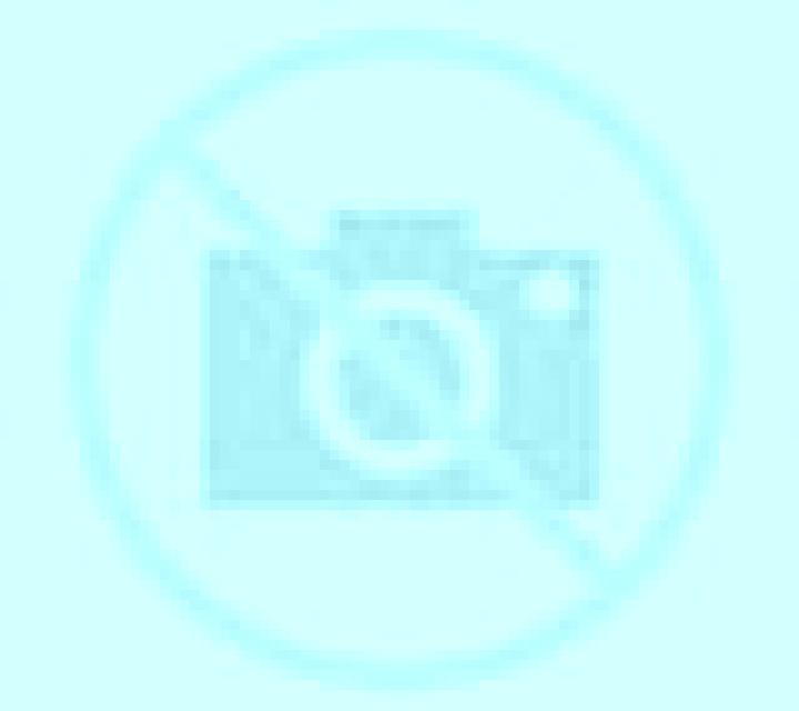 Nora Abadin escort