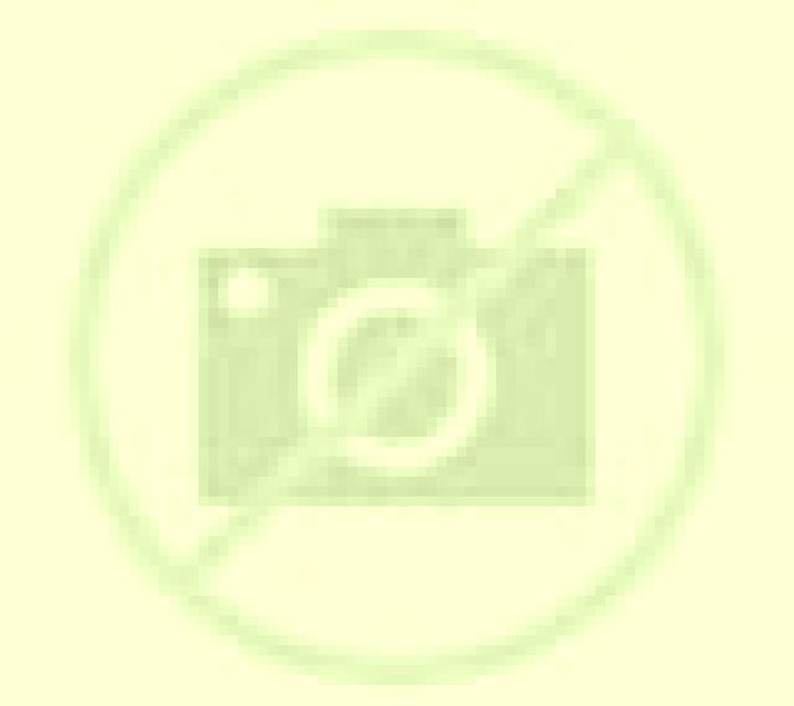 Nora Los Navalucillos escort