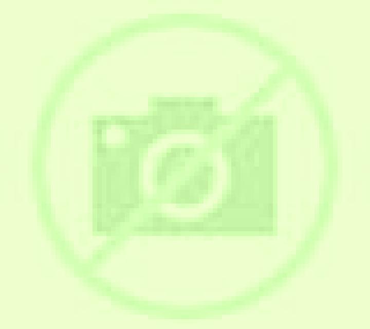 Olivia 3 Carrizal escort