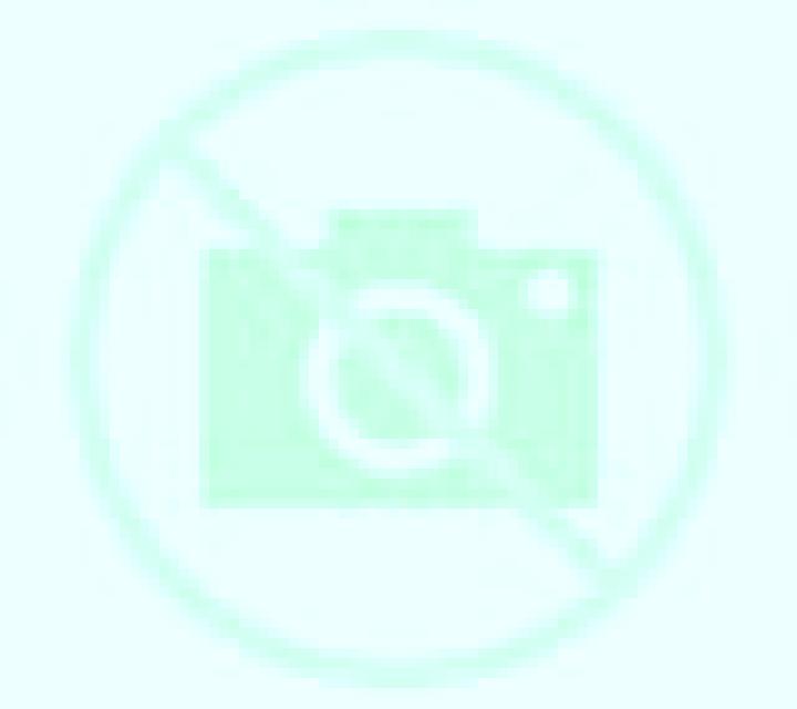 Olivia 3 Zarapicos escort