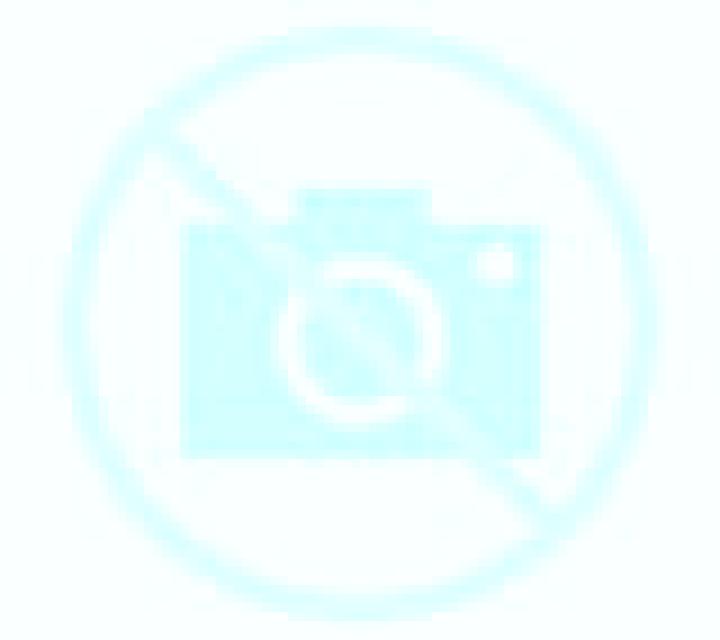 Olivia Hiendelaencina escort
