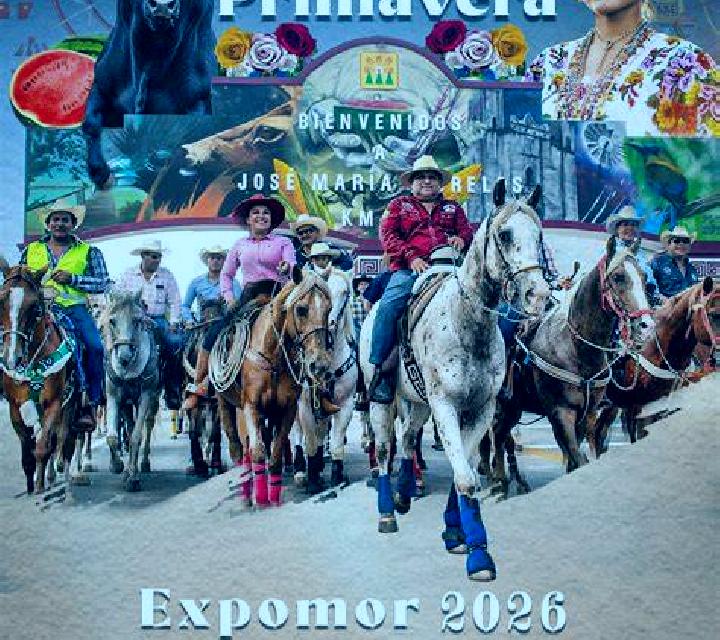 Paloma 3 La Oliva escort