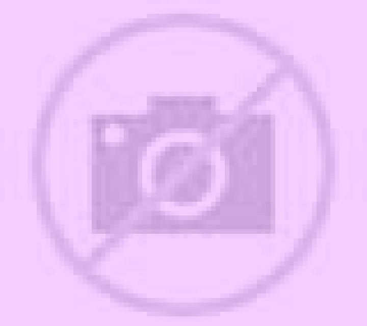 Patricia 2 Villavellid escort