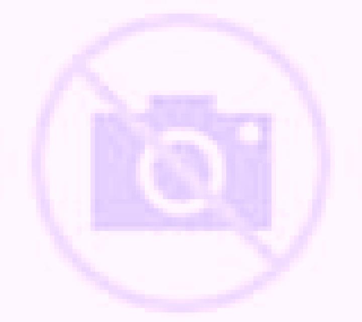 Paula 3 Flix escort