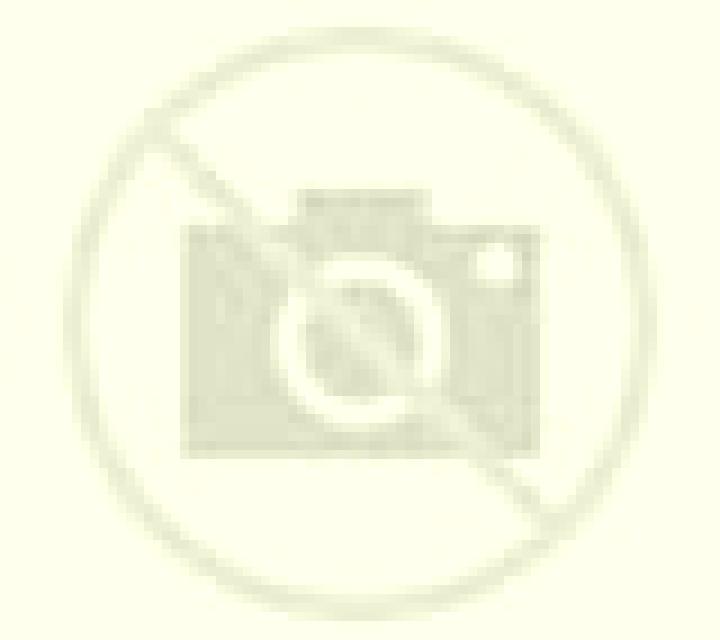 Paula Tejadillos escort
