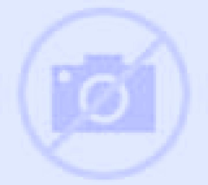 Paula Tui escort