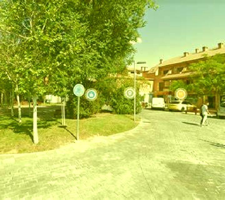 Regina 2 Canamero escort