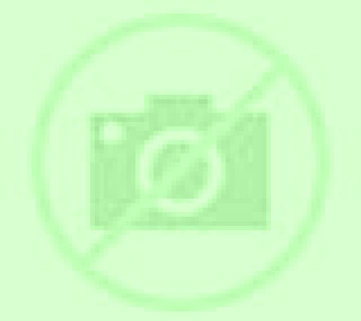 Regina Domingo Garcia escort