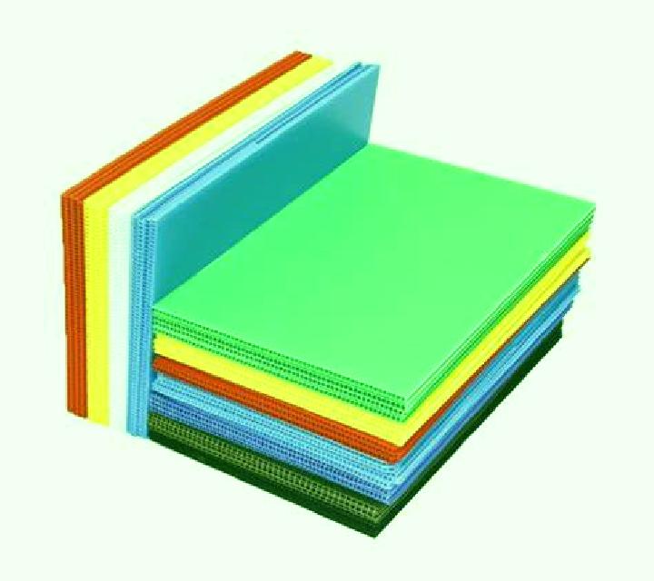 Regina Olivenza escort