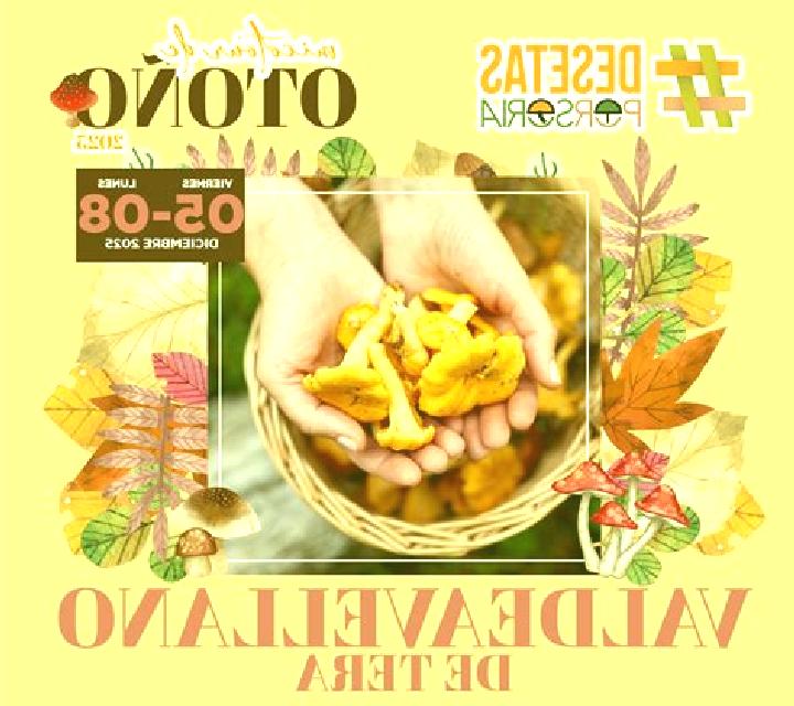 Renata 3 Costacabana escort