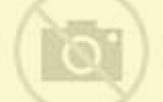 Rosa 2 Alaminos escort