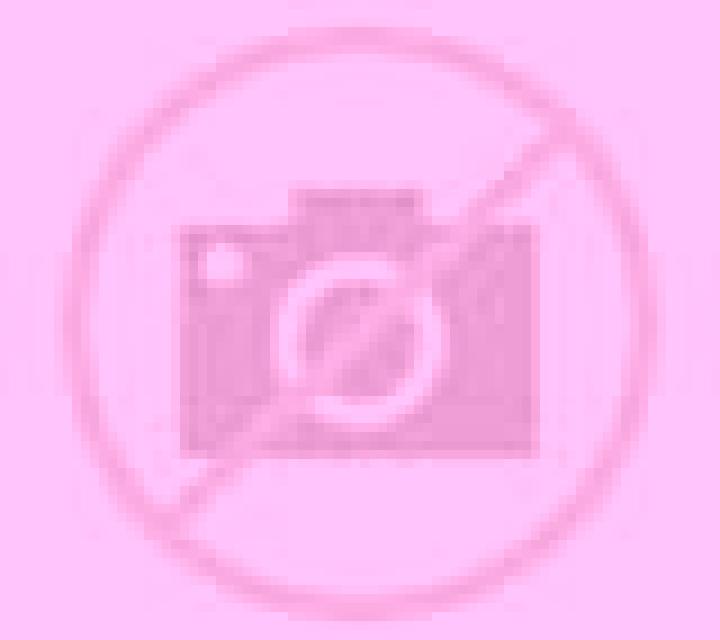 Rosa 3 Baranain escort