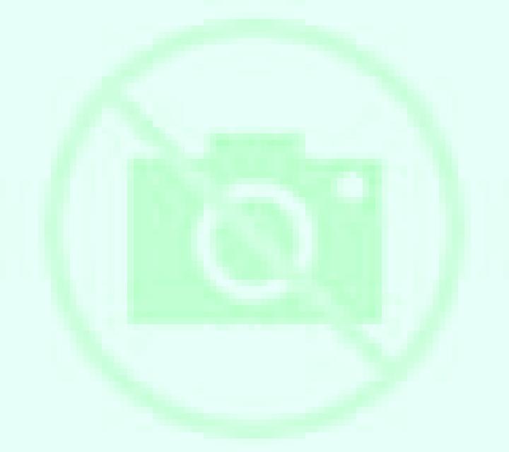 Rosa 3 Culleredo escort