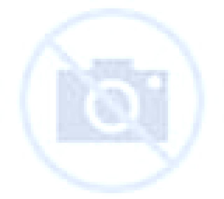 Rosa 3 Moratalla escort