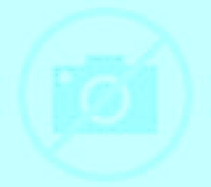 Rosa 3 Perales escort