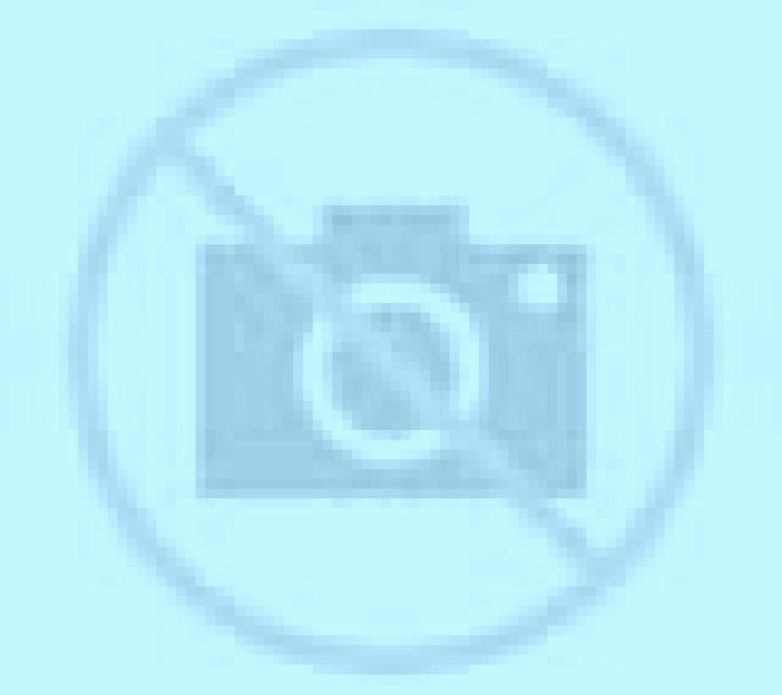 Rosa 3 Sierra de Yeguas escort