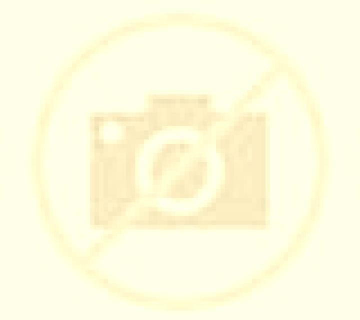Rosa Son Rapinya escort