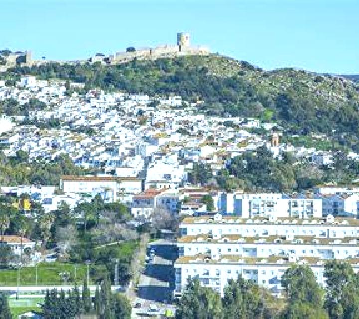 Rosa Torralba de Calatrava escort