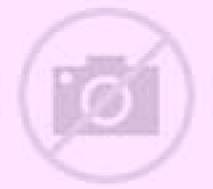 Salma 2 Castrobol escort