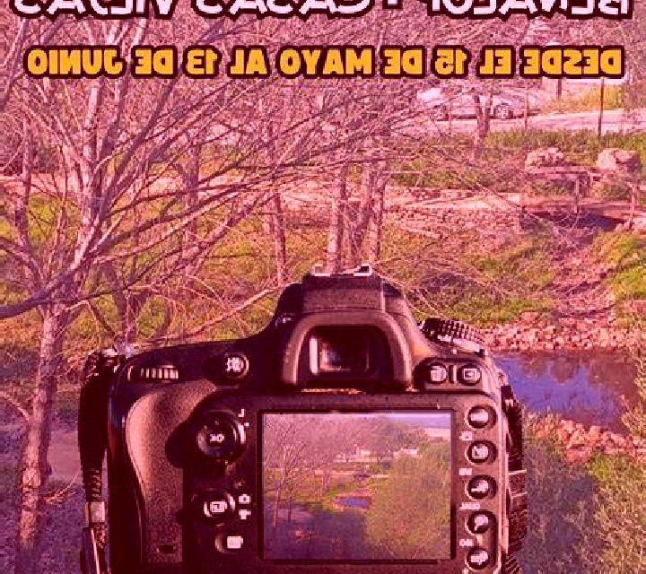 Salma 3 Aibar escort