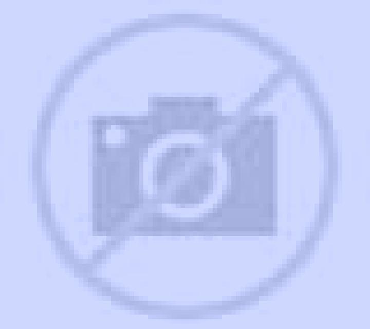 Sara Los Gabatos escort