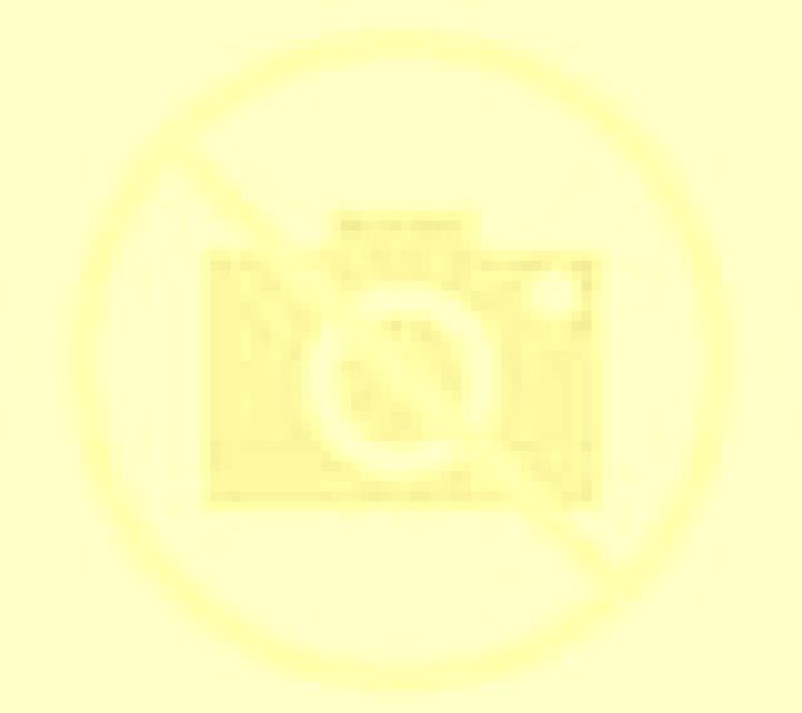 Selene 3 La Orotava escort