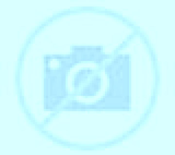 Selene Borja escort