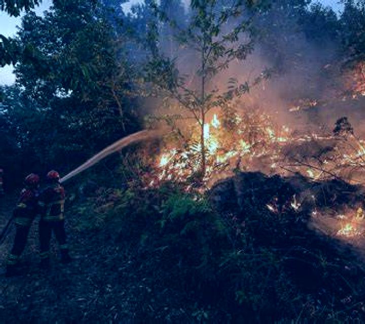 Sofía 2 Camporrobles escort