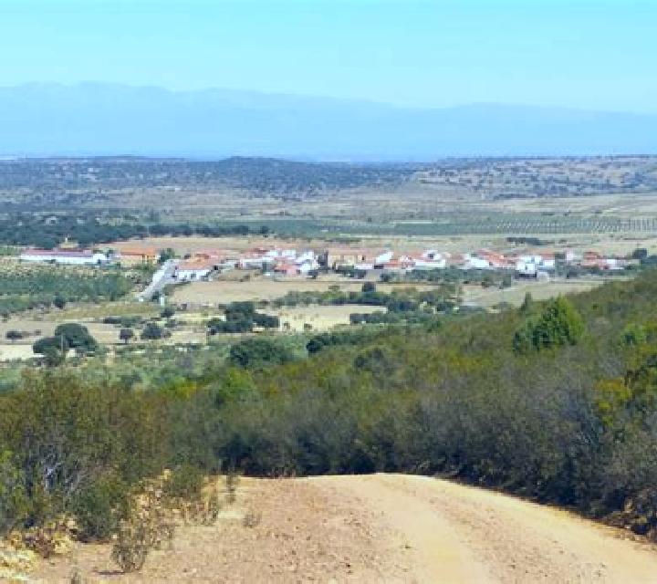 Sofía Capillas escort
