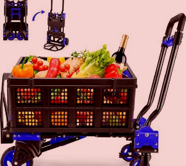 Valentina Xove escort