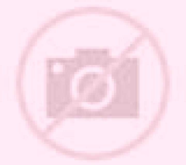 Valeria Fontioso escort